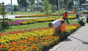 Благоустройство Москва 24/7 Москва