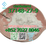 CAS:37148-27-9 clenbuterol Москва