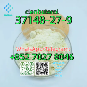 CAS:37148-27-9 clenbuterol Москва