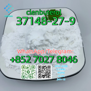 CAS:37148-27-9 clenbuterol Москва