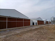 Оборудование для птицефабрики по выращиванию птиц Big Dutchman из Китайского производителя Hangzhou