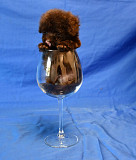 Пуделя щенок той коричневая девочка ВЭНДИ доставка из г.Москва