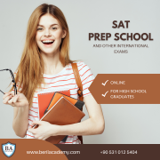 Подготовка к экзаменам (SAT, TOEFL, TRYÖS, TÖMER) и поступление в университеты Турции, США доставка из г.Одесса