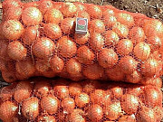 Овощи для борща оптом Ангарск