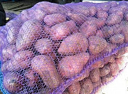 Овощи для борща оптом Ангарск