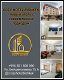 Cozy Hotel Bishkek - новый отель с современным подходом Bishkek