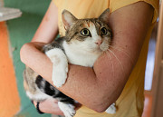 Тургеневская потеряша в центре Москва