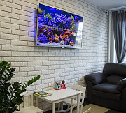 УСТАНОВКА ТЕЛЕВИЗОРА. МОНТАЖ КРОНШТЕЙНА. 069495004. Chisinau. Montare suport pentru televizor. Кишинёв