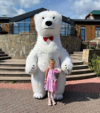 Заказать Белого Медведя Москва