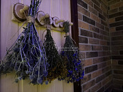 Баня на природе Коломна