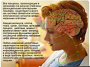 Консультативно-диагностическая система восстановительной медицины Санкт-Петербург