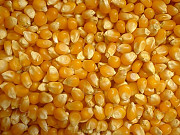 Соя, кукуруза, пшеница экспортные поставки в Китай. доставка из г.Москва