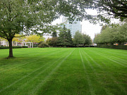 Травосмесь для рекультивации доставка из г.Москва