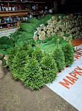 «Ёлочный Базар» - живые елки в Серпухове Серпухов