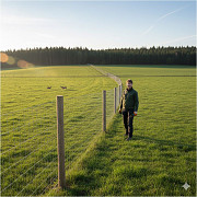 Шарнирная сетка для фермеров и дорог (узловая, лесная) Санкт-Петербург