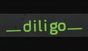 Водитель категории C+E в Польшу, фирма Diligo Korycinski Тбилиси