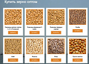 ООО Агропром - оптовая реализация продуктов питания экспорт доставка из г.Москва