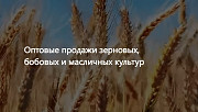 ООО Агропром - оптовая реализация продуктов питания экспорт доставка из г.Астана