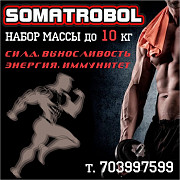 Спортивное питание для мышечной массы, силы, выносливости, энергии Бишкек