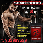 Спортивное питание для мышечной массы, силы, выносливости, энергии Бишкек