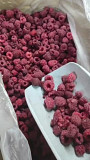 Свежезамороженная малина оптом по Казахстану Талдыкорган