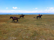 Driver in Kyrgyzstan, mountains Guide, tourism, travel, excursions, hiking Бишкек