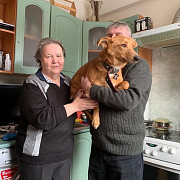 Бабушкин и дедушкин пёсик очень ищет дом Санкт-Петербург
