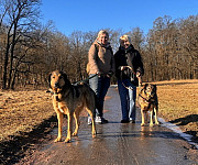 Верные и преданые товарищи-собаки ищут дом Санкт-Петербург