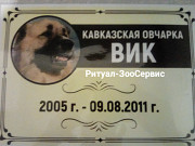 Усыпление животных на дому с вывозом на кремацию Москва