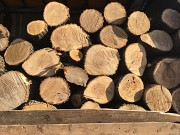 Продам в больших количествах дрова твердых пород (дуб, ясень, акация) а также фруктовые дрова Александрия