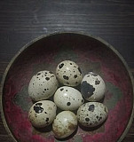 Яйца перепелиные Краснодар