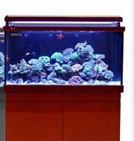 Морской аквариум Reefer от компании Red Sea 450 л Набережные Челны
