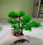 Дерево в аквариум Нижний Новгород