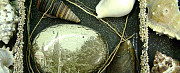Набор редких ракушек в + старинный камень с фото Заречный