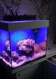 Морской аквариум Ногинск