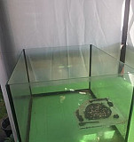 Аквариум для водной черепахи Богородск