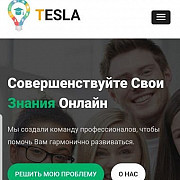 Онлайн-не-школа Тесла. Репетиторы Красногорск