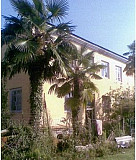Квартира (Абхазия) Теберда