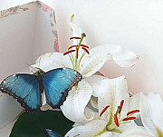 Подарок живые бабочки Челябинск