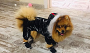 Зимняя одежда для собак Тюмень