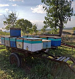 Платформы для пчёл Минеральные Воды