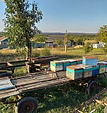 Платформы для пчёл Минеральные Воды