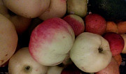 Овощи для животных, яблоки даром Йошкар-Ола