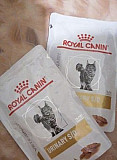 Royal Canin Urinary S/O 85г*10 Астрахань