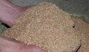 Отруби пшеничные Клинцы