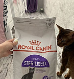 Сухой корм royal canin sterilised 37 для взрослых Ульяновск