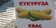 Квас и кукуруза на пляже в Адлере, 2020 Сочи