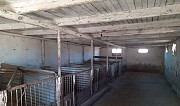 Ферма для скота Таганрог