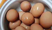 Яйцо дамашнее Усолье-Сибирское