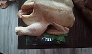 Мясо цыплят-бройлеров Бердяуш